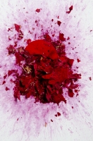 rose, 3" (detail)